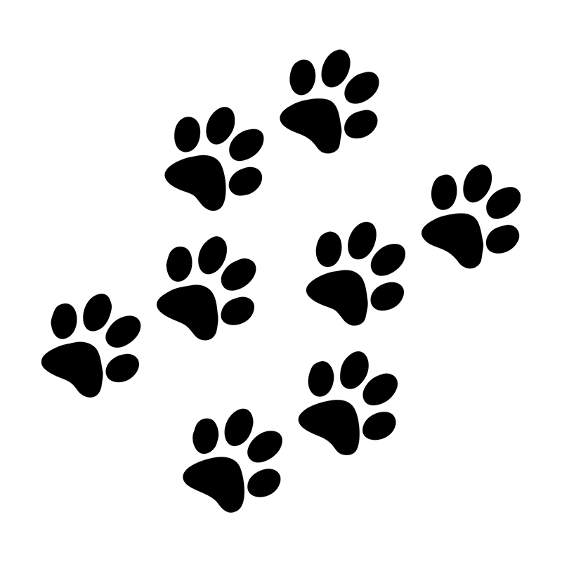 1 adet kedi pençe baskı araba  - Motorcycle Gear Auto incelemesi ve fiyatı